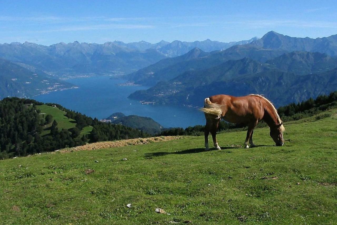 Appartamento Ghisallo Magreglio Zewnętrze zdjęcie